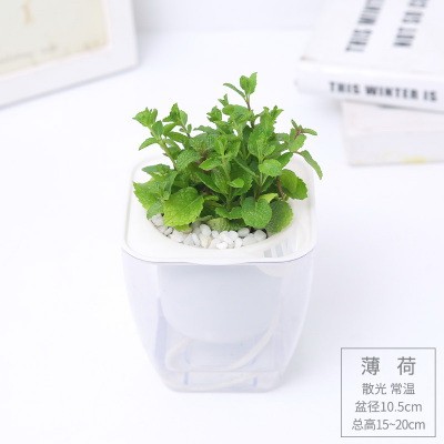 开云手机web版登录入口