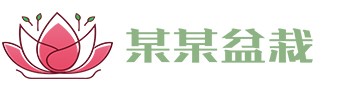 开云手机web版登录入口-开云(中国)